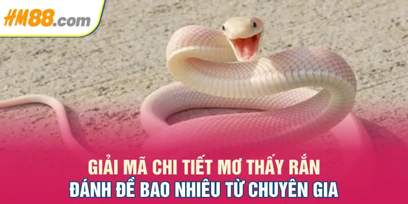 Giải mã chi tiết Mơ thấy rắn đánh đề bao nhiêu từ chuyên gia