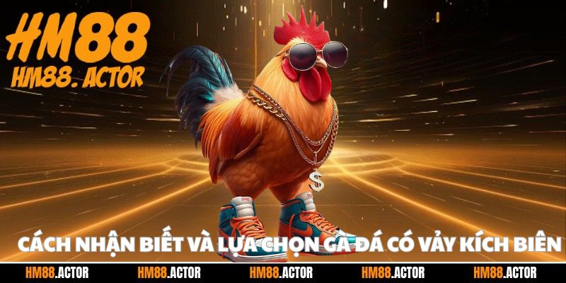 Cách nhận biết và lựa chọn gà đá có vảy kích biên