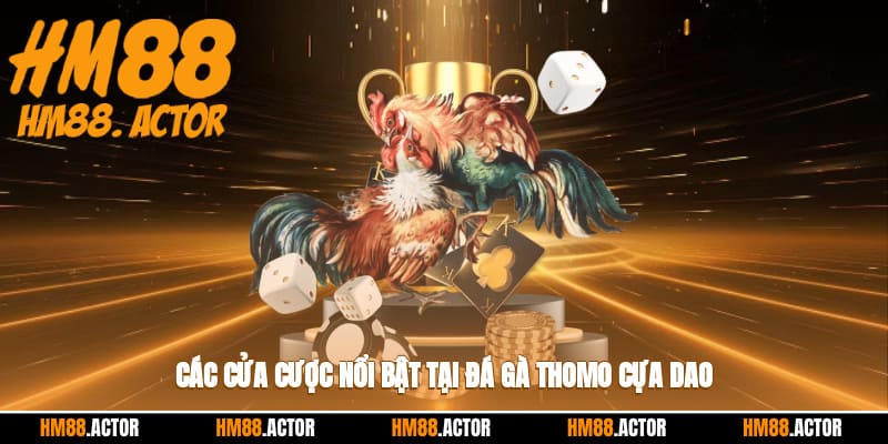 Các cửa cược nổi bật tại đá gà thomo cựa dao