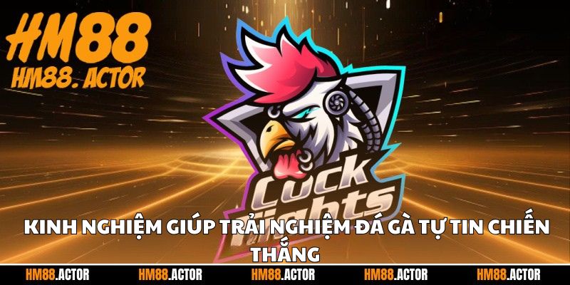 Kinh nghiệm giúp trải nghiệm đá gà tự tin chiến thắng