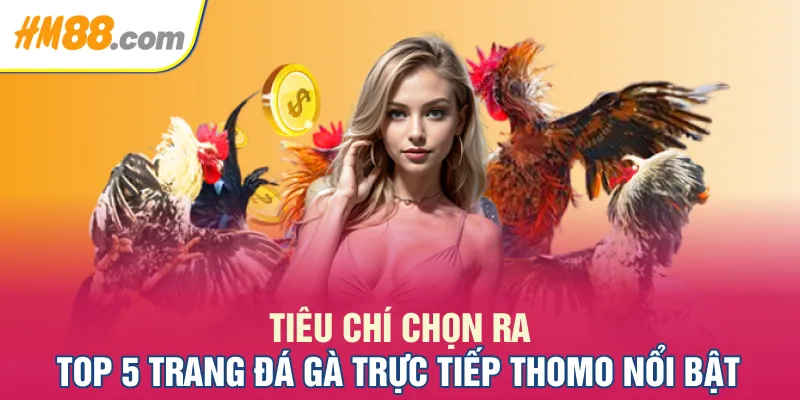 Tiêu chí chọn ra top 5 trang đá gà trực tiếp Thomo nổi bật