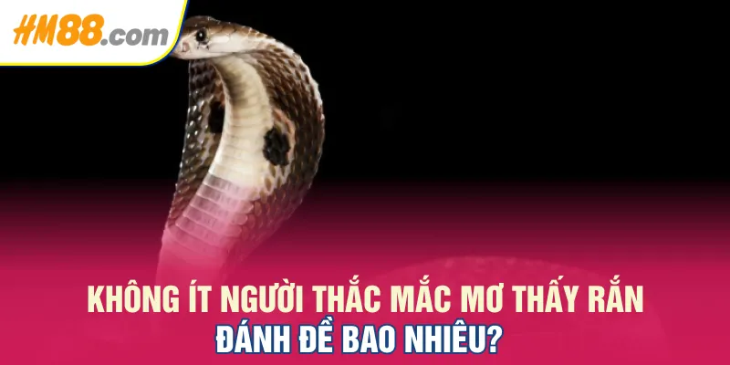 Không ít người thắc mắc Mơ thấy rắn đánh đề bao nhiêu?