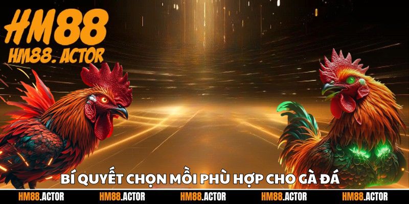 🎯 Bí quyết chọn mồi phù hợp cho gà đá