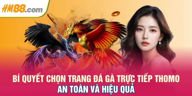 Bí quyết chọn trang đá gà trực tiếp Thomo an toàn và hiệu quả