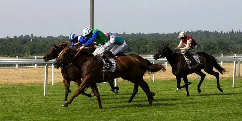 Tổng quan chung về cá cược đua ngựa