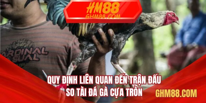 Quy định liên quan đến trận đấu so tài đá gà cựa tròn