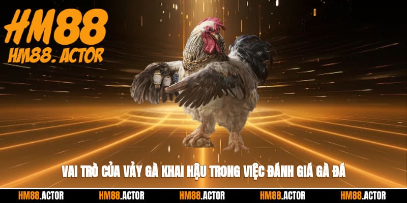 Vai trò của vảy gà khai hậu trong việc đánh giá gà đá